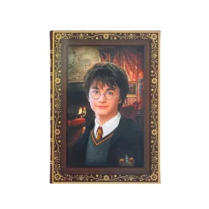 Harry Potter Live Picture Changing Notebook by Xaudis with lenticular cover showing Harry, Hermione, and Ron